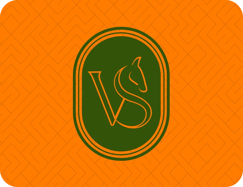 VS Media
