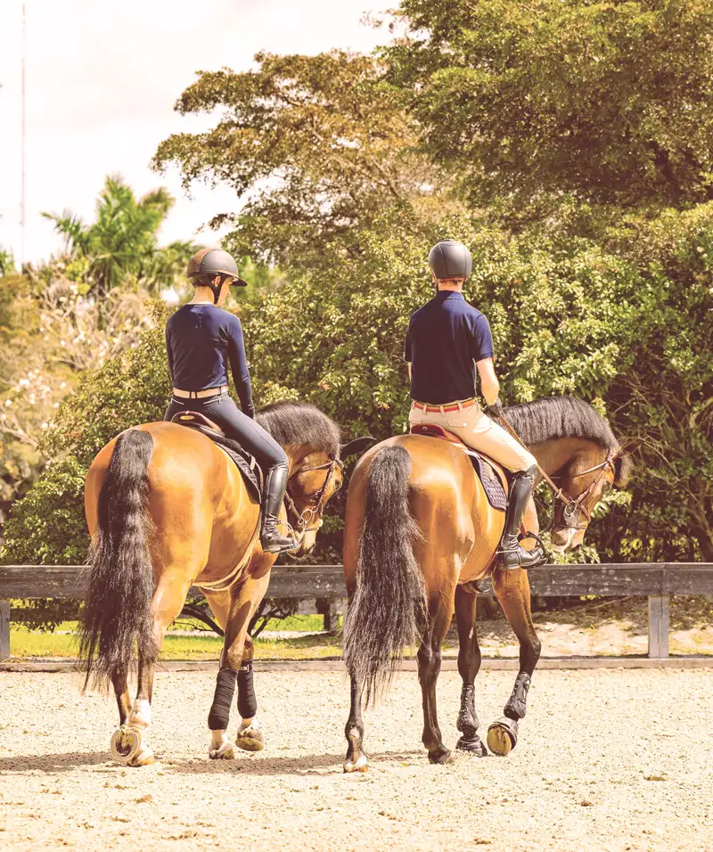 Noviun Surfaces equestrian arena photography