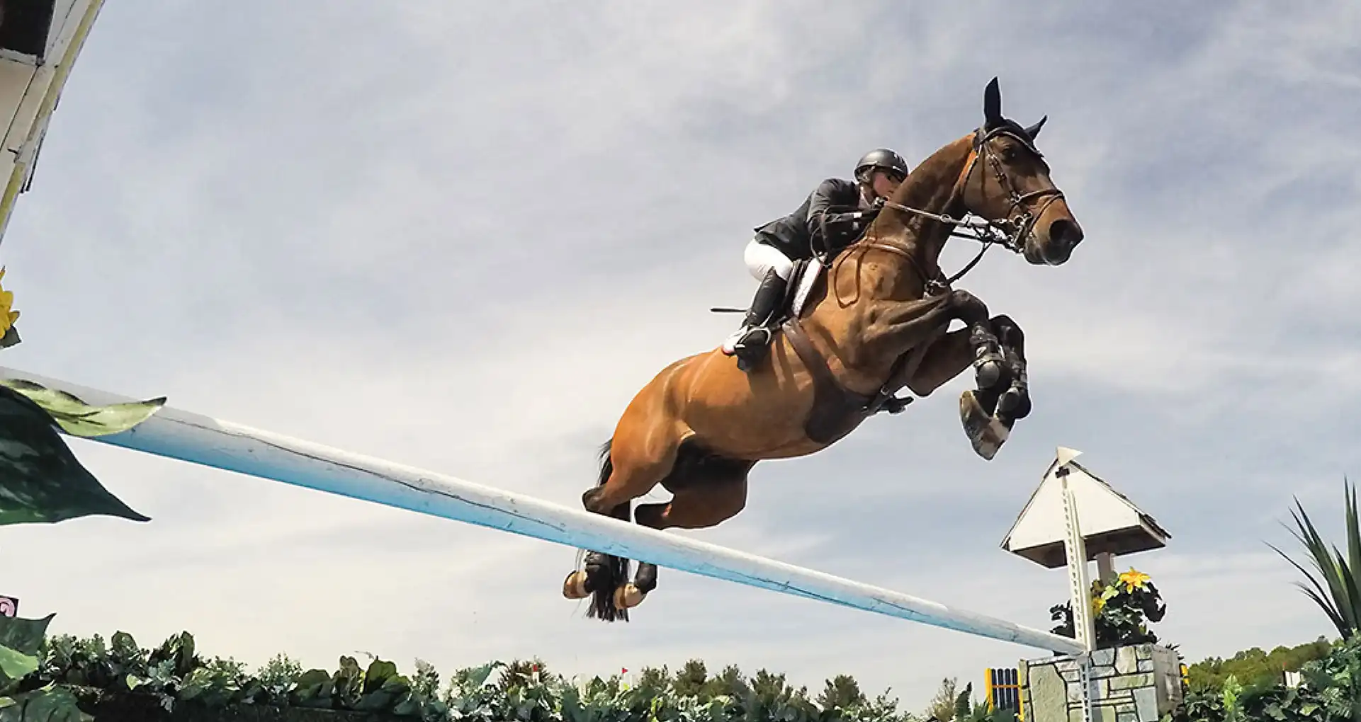Beth Underhill clearing a fence on her show-jumping horse