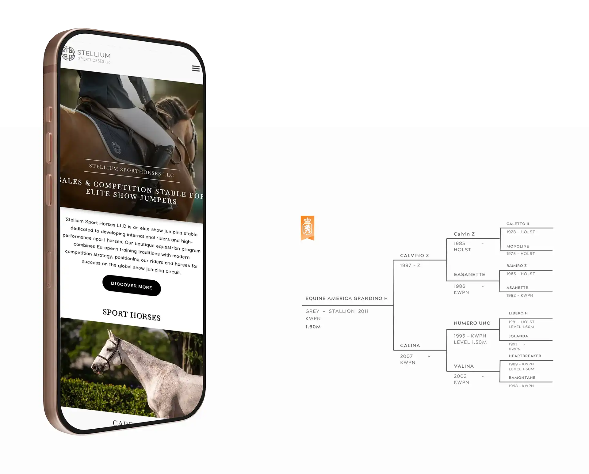 The Stellium Sporthorses website on iPhone beside a horse's pedigree bloodline chart