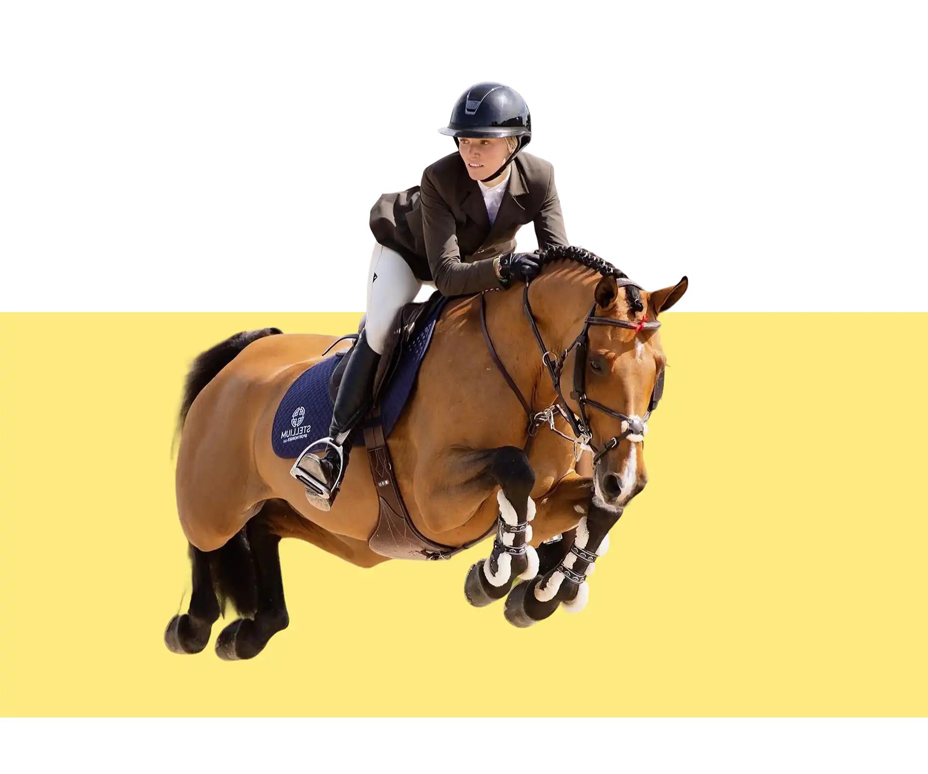 Rider and sport horse clearing a jump, set against the Stellium brand yellow